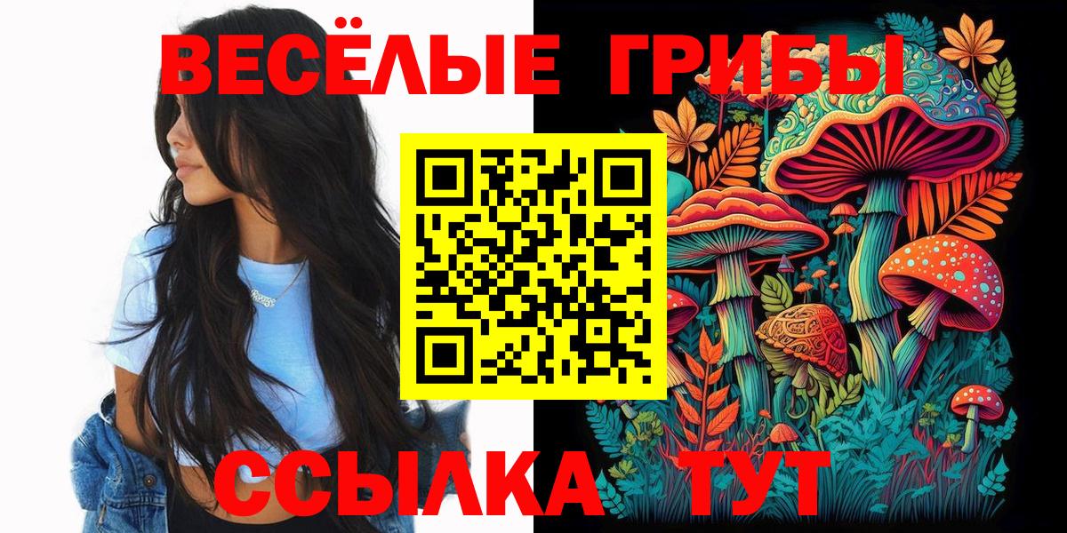 Галлюциногенные грибы мицелий Знаменск