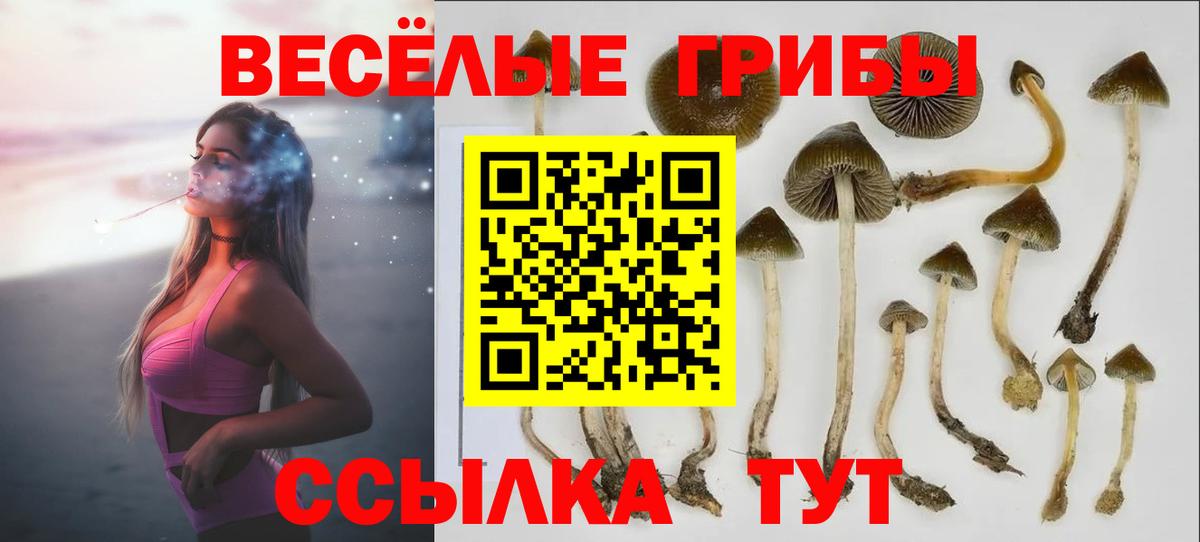Амфетамин   ГАШ  Знаменск  Вход с VPN  Марихуана  LSD-25  МЕФ кристаллы  КЕТАМИН  Cocaine 